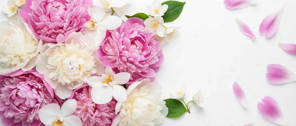 Peony, Vanilla Orchid, Jasmine